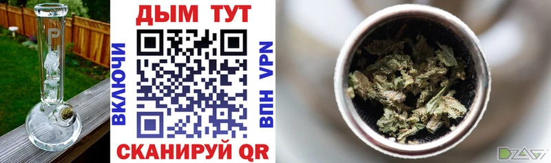 продажа наркотиков  mega ссылка  Канабис Ganja  Циолковский 